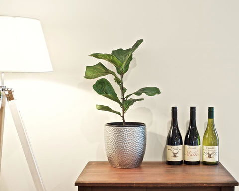Cirillo Guest House - Sunshine Coast Tourism 2