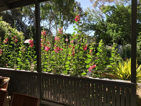 Clarevale Cottage B&B - Sunshine Coast Tourism 1