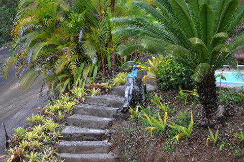 Cloud 9 - Sunshine Coast Tourism 1