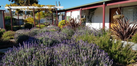 Clunes Motel - Sunshine Coast Tourism 1