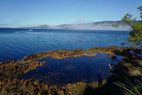 Coast House Tasmania - Sunshine Coast Tourism 2