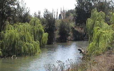 Colonial Inn Motel - Holiday Sunshine Coast 3