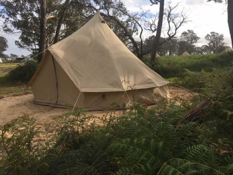 Coonawarra Bush Holiday Park - Sunshine Coast Tourism 2