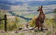 Corroboree Spa Cabin- Eaglereach - thumb 1