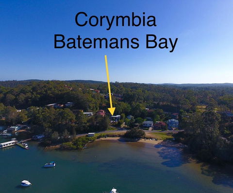Corymbia Batemans Bay - Holiday Sunshine Coast 1
