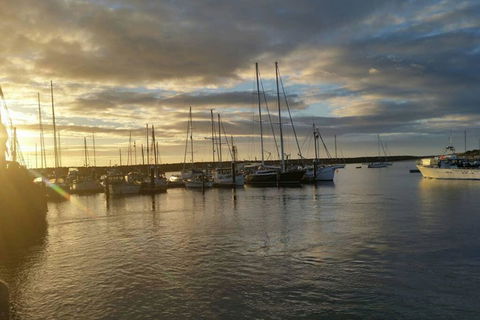 Cosy Cottage Valley Views - Sunshine Coast Tourism 3