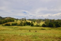 Book Kandanga Accommodation Vacations Sunshine Coast Tourism Sunshine Coast Tourism