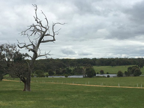 Country Farm House Close To Ballarat - Holiday Sunshine Coast 1