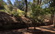 Country Lane Lysterfield - thumb 3