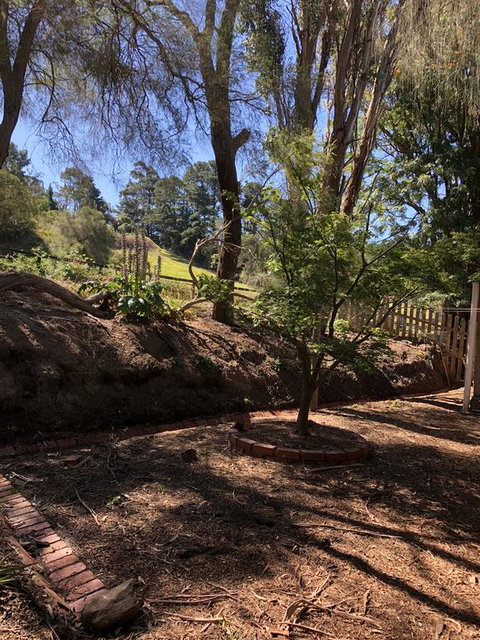Country Lane Lysterfield - Sunshine Coast Tourism 3