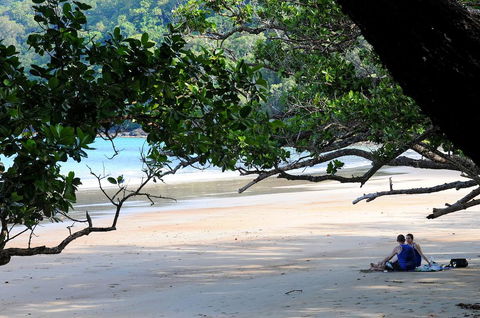 Cow Bay Homestay B&B - Sunshine Coast Tourism 1