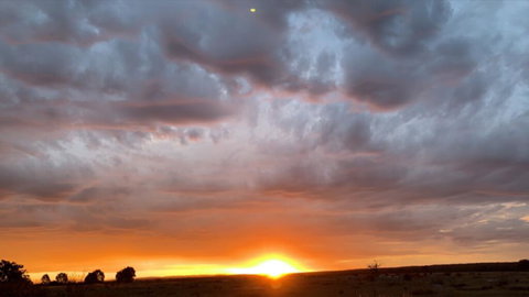 Creative 3D Sculpture Share - Sunshine Coast Tourism 0