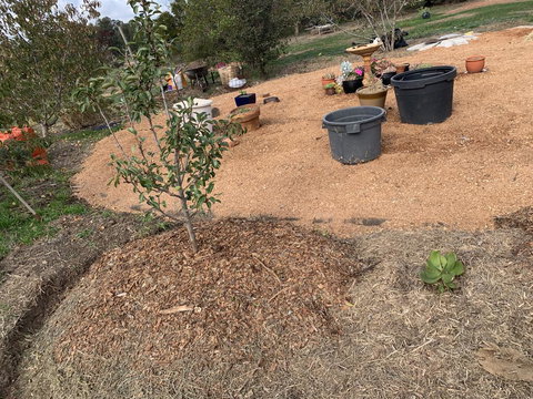 Creative 3D Sculpture Share - Sunshine Coast Tourism 1