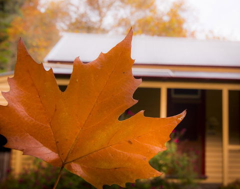 Creek Cottage - Sunshine Coast Tourism 3