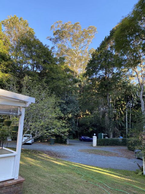 Curtis Falls Studio-Apartment - Sunshine Coast Tourism 3