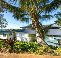 Cylinder Palms - Sunshine Coast Tourism