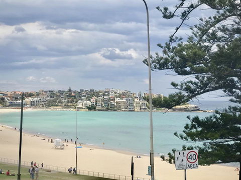 D'Luxe Designer Den Bondi-Ocean View Apartment - Sunshine Coast Tourism 1