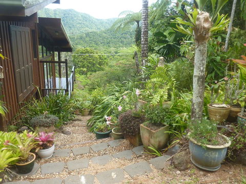 Daintree Holiday Homes - The Folly - Holiday Sunshine Coast 0