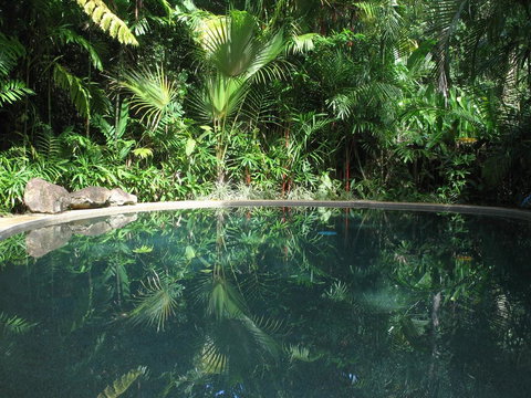 Daintree Rainforest Retreat Motel - Sunshine Coast Tourism 0