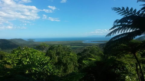 Daintree Village Hideaway - Sunshine Coast Tourism 1