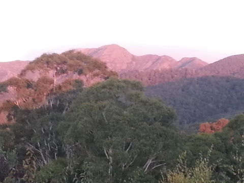 Day Dream Cottage - Sunshine Coast Tourism 2