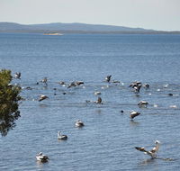 Denmark Waters BB - Holiday Sunshine Coast