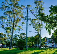 Dorrigo Mountain Holiday Park - Holiday Sunshine Coast