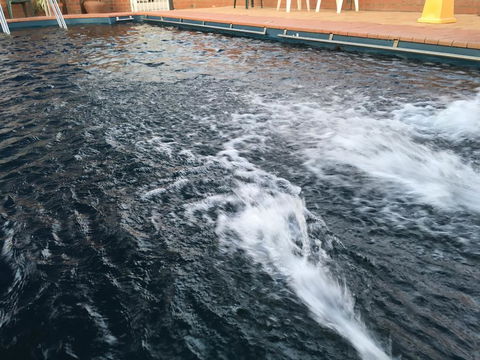 Dragon Phoenix Resort - Sunshine Coast Tourism 1