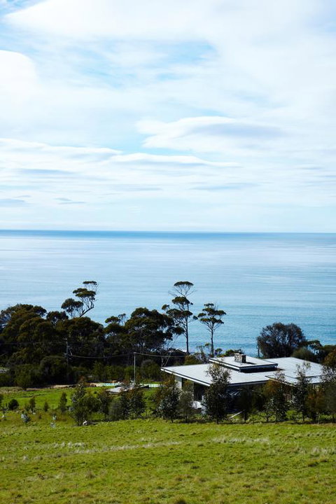 Dragonfly Lodge - Sunshine Coast Tourism 3