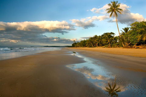 Driftwood - Sunshine Coast Tourism 1