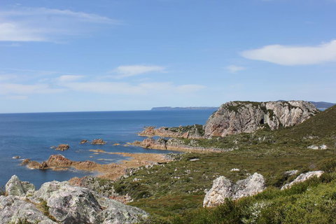 Eagle's Roost Farmstay B&B - Sunshine Coast Tourism 3