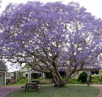 Ecotel Narooma - Sunshine Coast Tourism