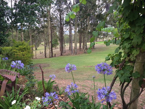 Elfin Hill Vineyard Accommodation - Holiday Sunshine Coast 2