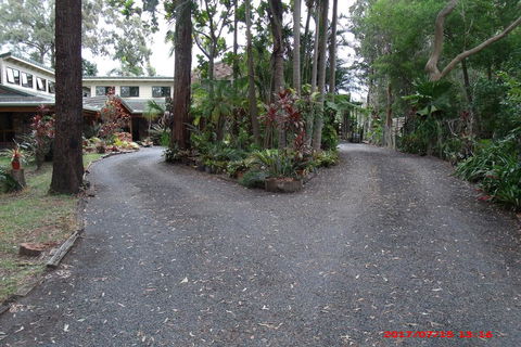 Emerald Tropical Palms B & B - Sunshine Coast Tourism 3