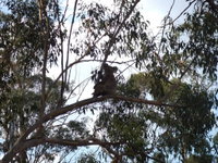 Book Haden Accommodation Vacations Sunshine Coast Tourism Sunshine Coast Tourism