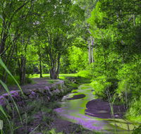 Esk Caravan Park  Rail Trail Motel - Holiday Sunshine Coast