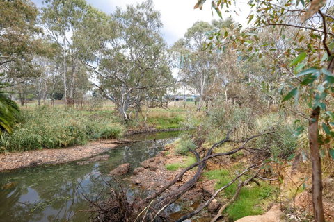 Faraday On Avoca - Holiday Sunshine Coast 3