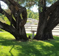 Farm Stay Studio - Holiday Sunshine Coast