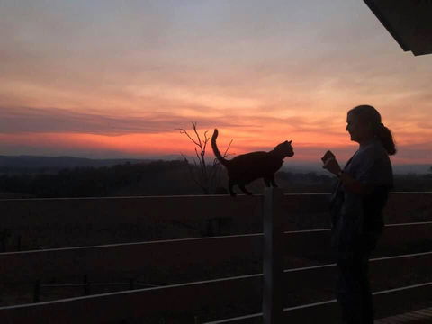 Farringdon Homestead - Sunshine Coast Tourism 1