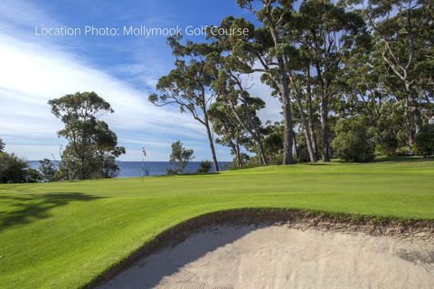 Fathoms 1 - Mollymook - Sunshine Coast Tourism 1