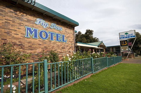 Fig Tree Motel - Holiday Sunshine Coast 2