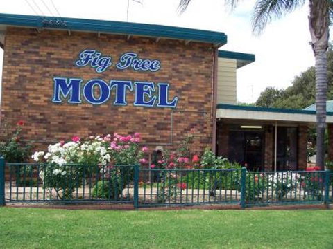Fig Tree Motel - Holiday Sunshine Coast 1