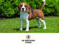 Book Cudgera Creek Accommodation Vacations Sunshine Coast Tourism Sunshine Coast Tourism