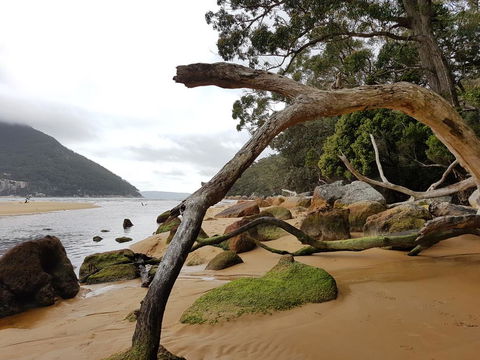 Fish Creek Alkira Accommodation - Sunshine Coast Tourism 1