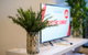 Flagstaff Garden Large 2 Bedroom Modern Apartment - thumb 3