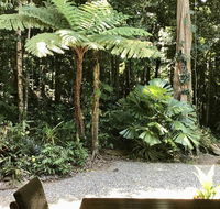 Forest Views Daintree - Holiday Sunshine Coast