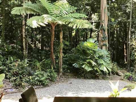 Forest Views Daintree - Sunshine Coast Tourism 0