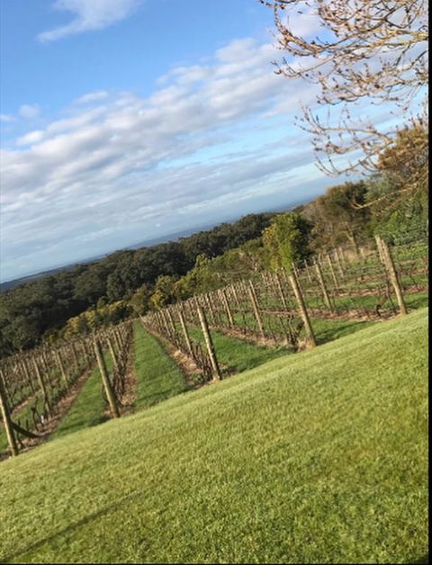 Frogs Pond - Sunshine Coast Tourism 3