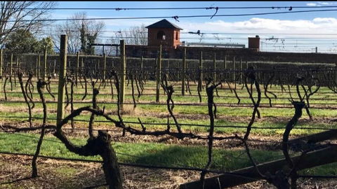 Frogs Pond - Sunshine Coast Tourism 1