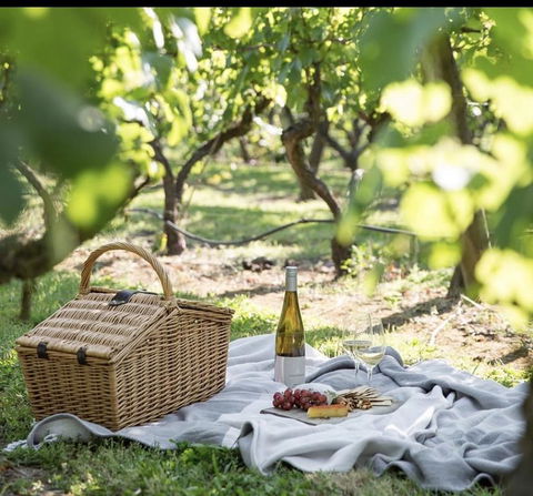 Frogs Pond - Sunshine Coast Tourism 2